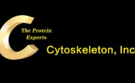 QQ截图20230316152533